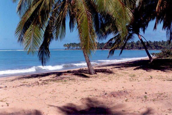 picture of the beach